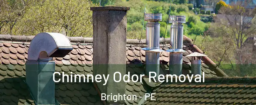 Chimney Odor Removal Brighton - PE