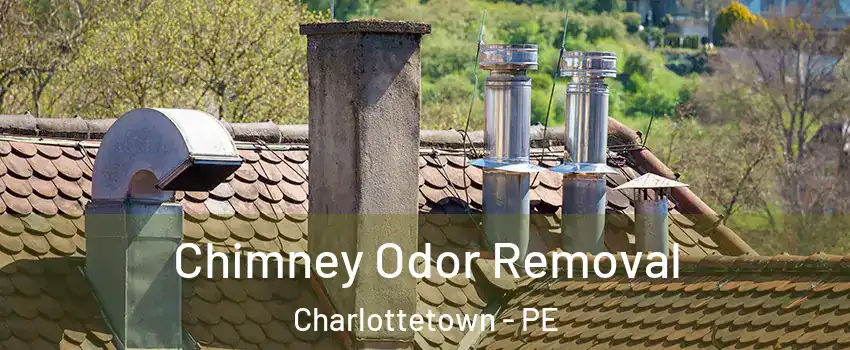 Chimney Odor Removal Charlottetown - PE