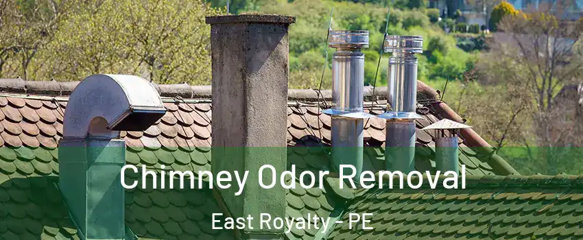  Chimney Odor Removal East Royalty - PE