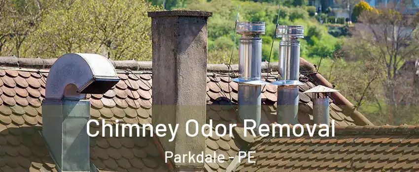 Chimney Odor Removal Parkdale - PE
