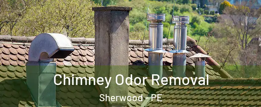  Chimney Odor Removal Sherwood - PE