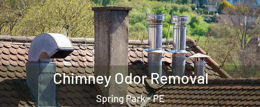  Chimney Odor Removal Spring Park - PE