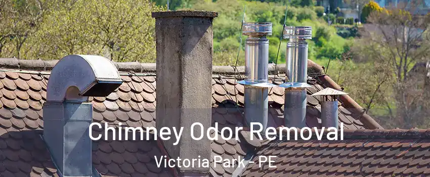  Chimney Odor Removal Victoria Park - PE
