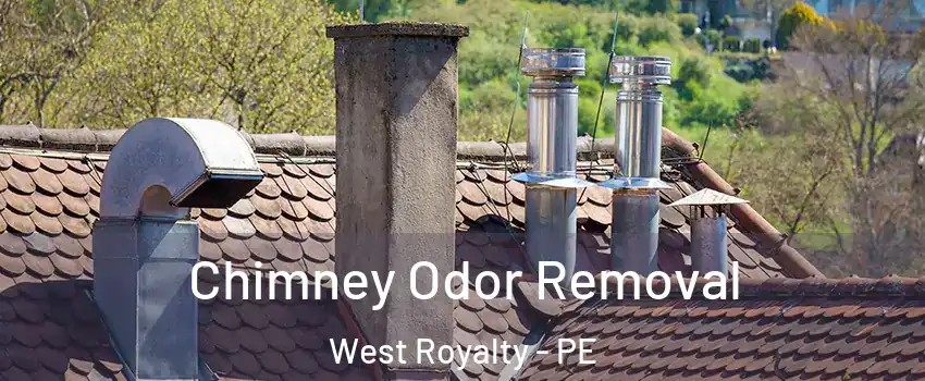  Chimney Odor Removal West Royalty - PE