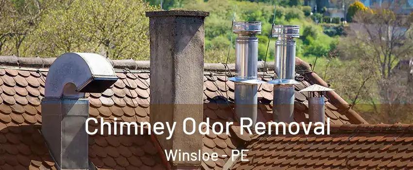  Chimney Odor Removal Winsloe - PE