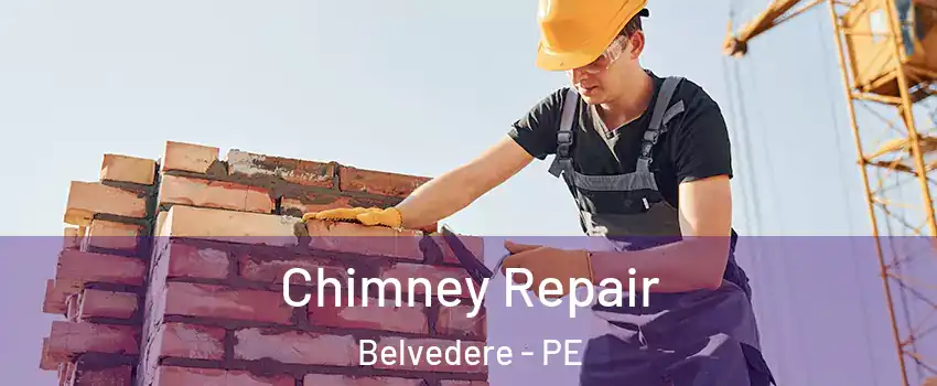  Chimney Repair Belvedere - PE