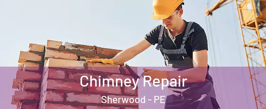  Chimney Repair Sherwood - PE