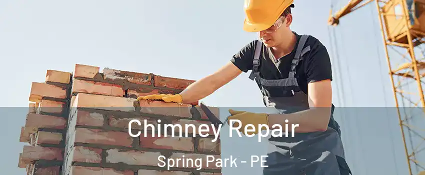  Chimney Repair Spring Park - PE