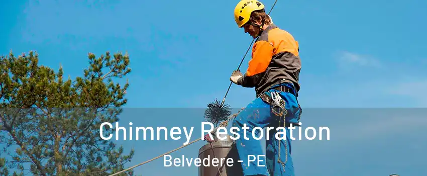  Chimney Restoration Belvedere - PE