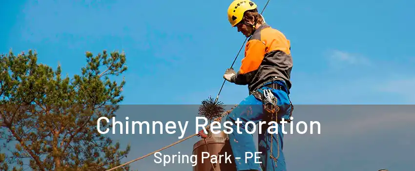  Chimney Restoration Spring Park - PE