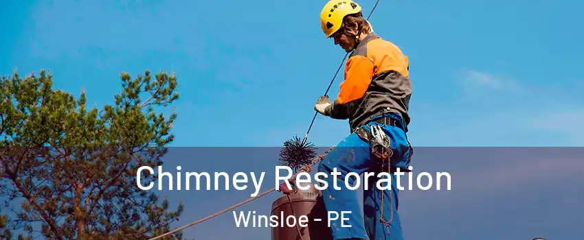  Chimney Restoration Winsloe - PE