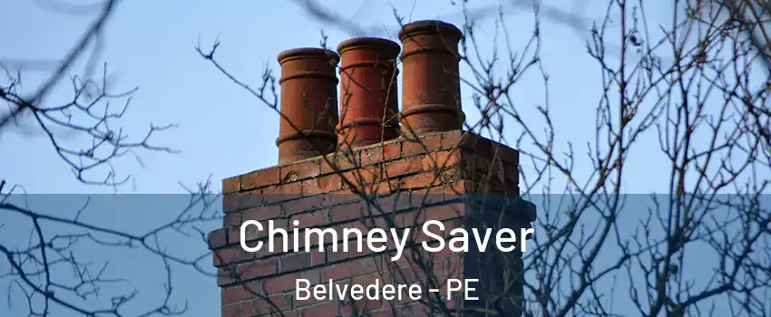  Chimney Saver Belvedere - PE