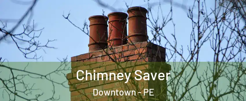  Chimney Saver Downtown - PE