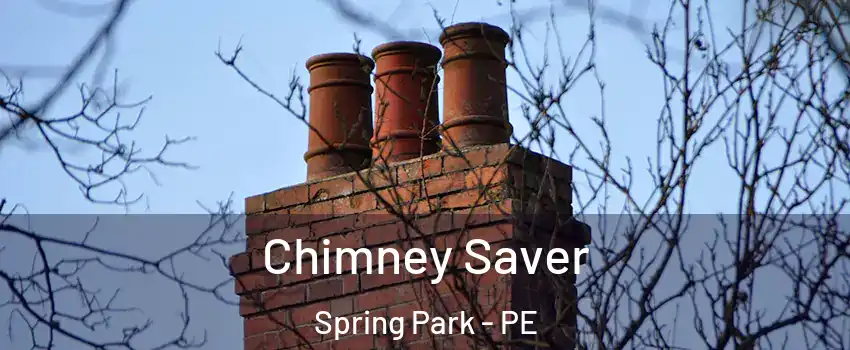  Chimney Saver Spring Park - PE