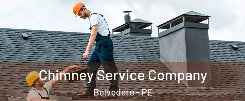  Chimney Service Company Belvedere - PE
