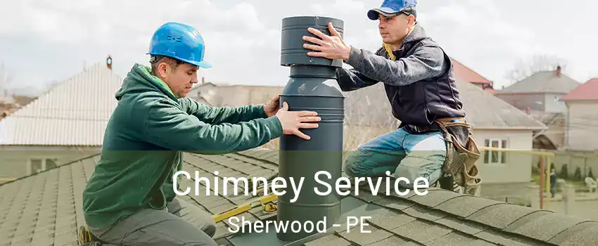  Chimney Service Sherwood - PE