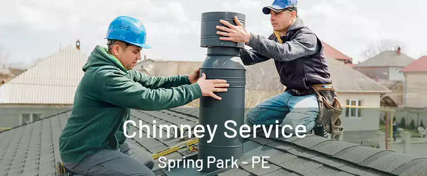  Chimney Service Spring Park - PE