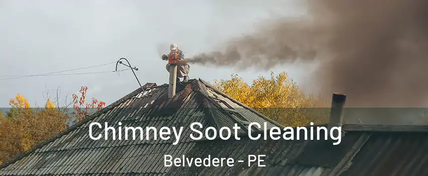  Chimney Soot Cleaning Belvedere - PE