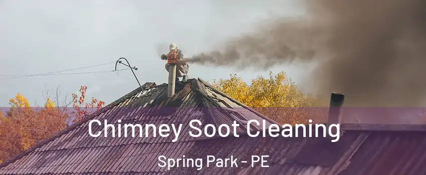  Chimney Soot Cleaning Spring Park - PE