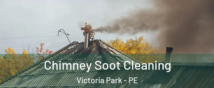  Chimney Soot Cleaning Victoria Park - PE