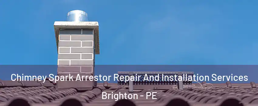  Chimney Spark Arrestor Repair And Installation Services Brighton - PE