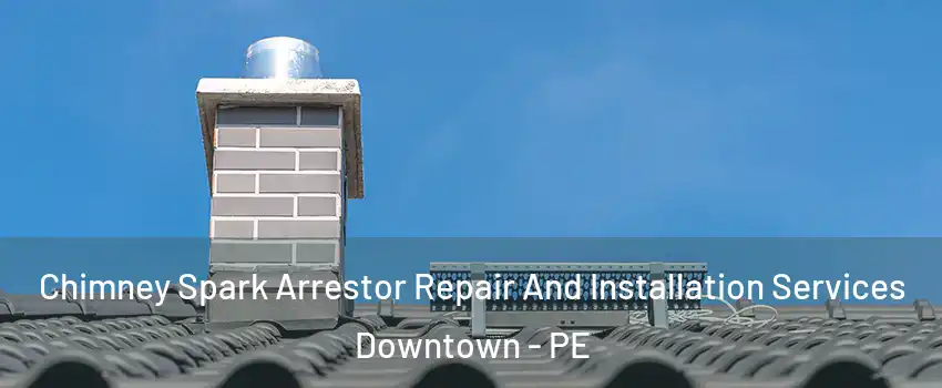  Chimney Spark Arrestor Repair And Installation Services Downtown - PE