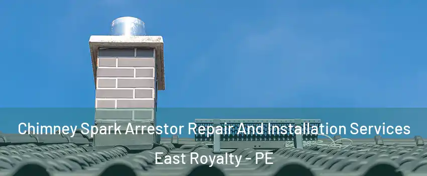  Chimney Spark Arrestor Repair And Installation Services East Royalty - PE