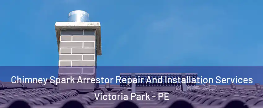  Chimney Spark Arrestor Repair And Installation Services Victoria Park - PE