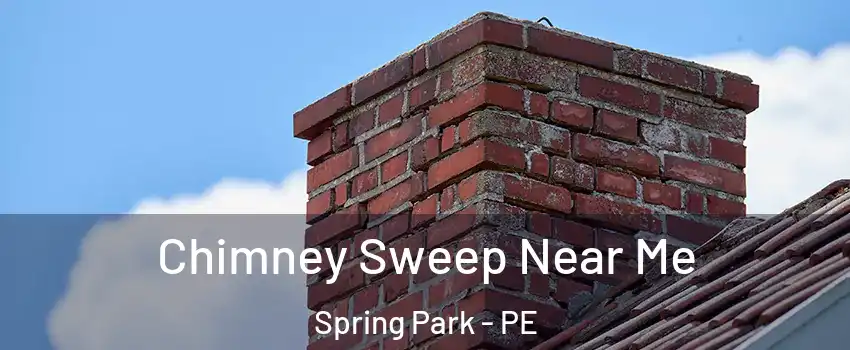  Chimney Sweep Near Me Spring Park - PE