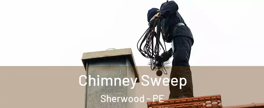  Chimney Sweep Sherwood - PE