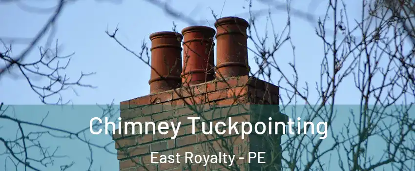  Chimney Tuckpointing East Royalty - PE