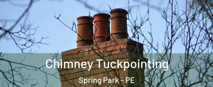  Chimney Tuckpointing Spring Park - PE