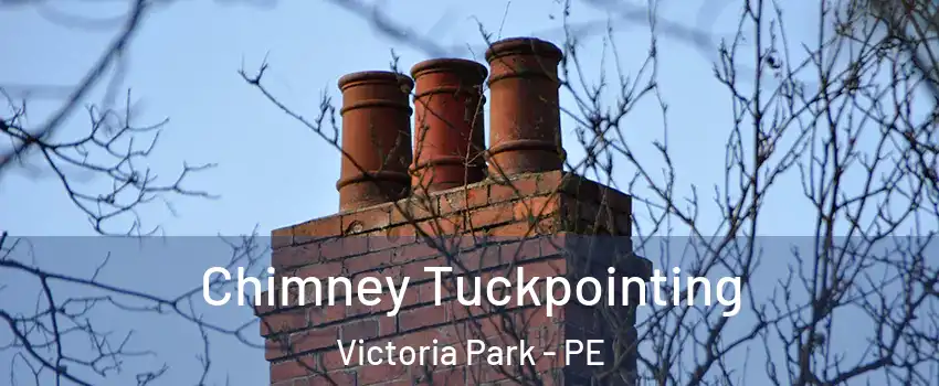  Chimney Tuckpointing Victoria Park - PE