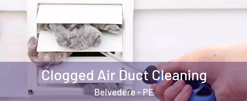  Clogged Air Duct Cleaning Belvedere - PE