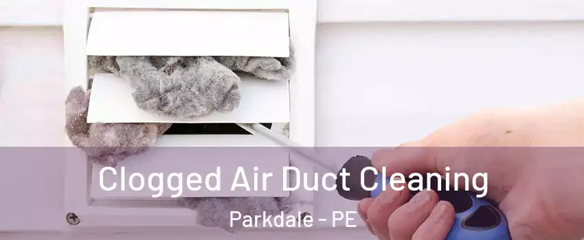  Clogged Air Duct Cleaning Parkdale - PE