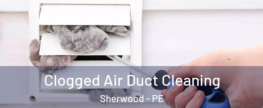  Clogged Air Duct Cleaning Sherwood - PE