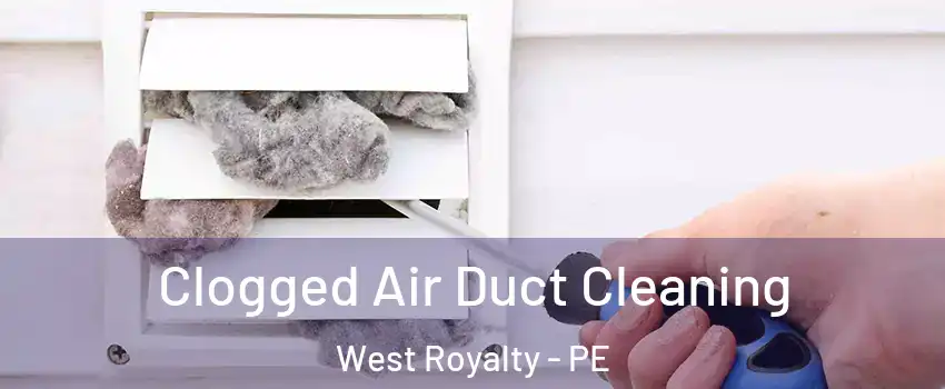  Clogged Air Duct Cleaning West Royalty - PE