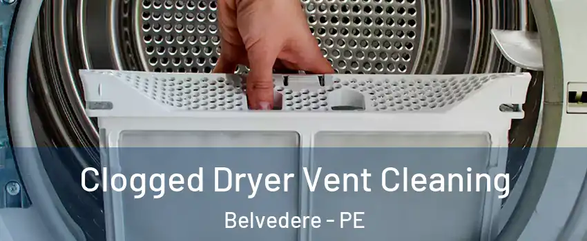  Clogged Dryer Vent Cleaning Belvedere - PE