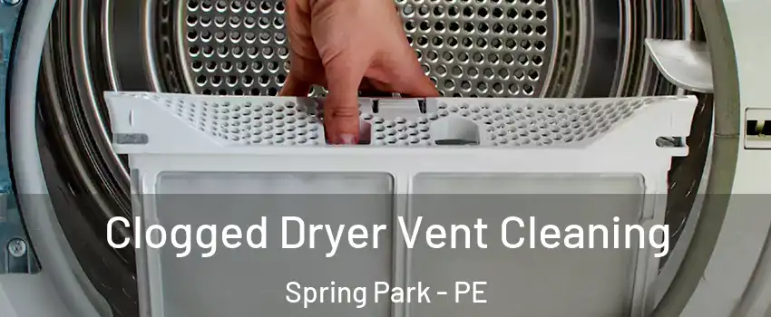  Clogged Dryer Vent Cleaning Spring Park - PE