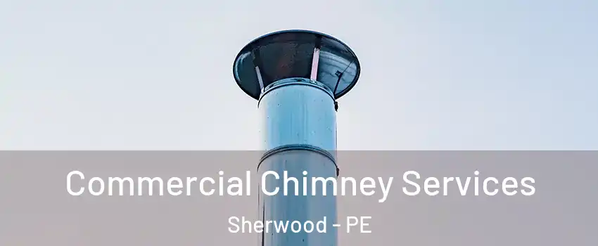  Commercial Chimney Services Sherwood - PE