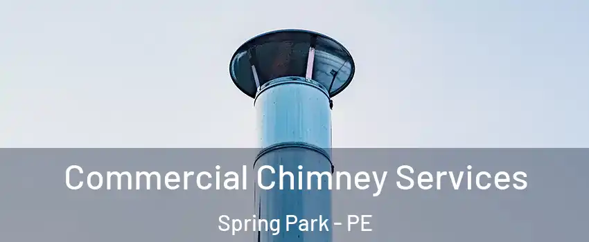  Commercial Chimney Services Spring Park - PE