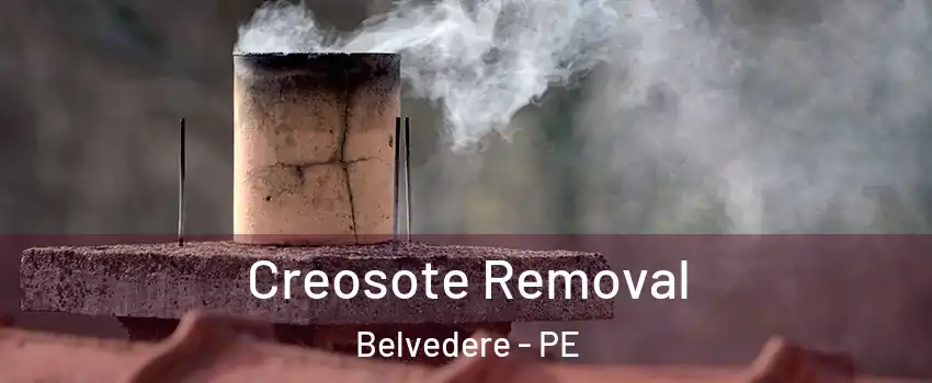  Creosote Removal Belvedere - PE