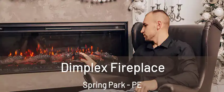  Dimplex Fireplace Spring Park - PE