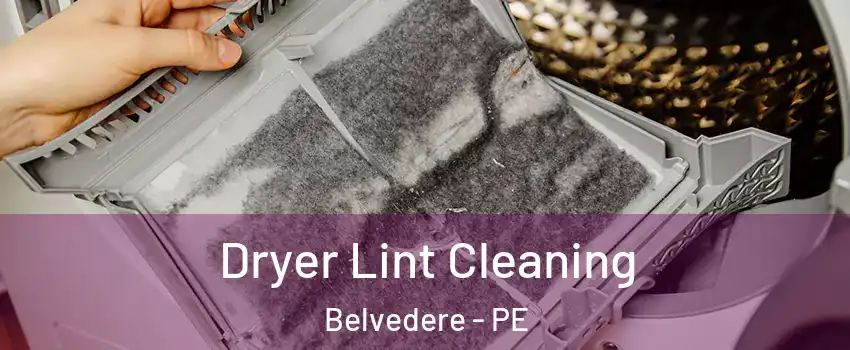  Dryer Lint Cleaning Belvedere - PE