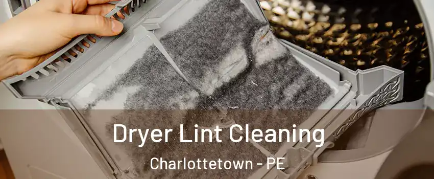  Dryer Lint Cleaning Charlottetown - PE