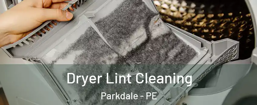  Dryer Lint Cleaning Parkdale - PE