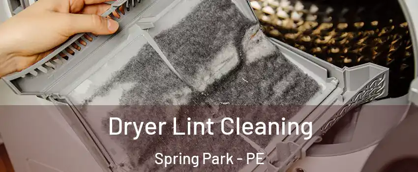  Dryer Lint Cleaning Spring Park - PE