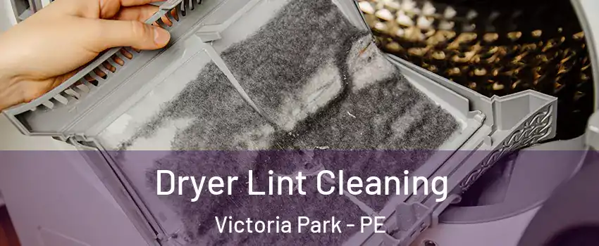  Dryer Lint Cleaning Victoria Park - PE