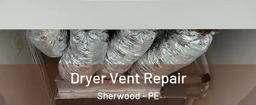  Dryer Vent Repair Sherwood - PE