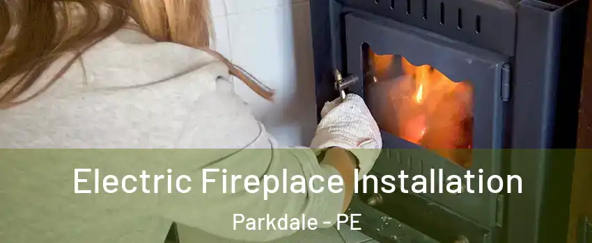  Electric Fireplace Installation Parkdale - PE
